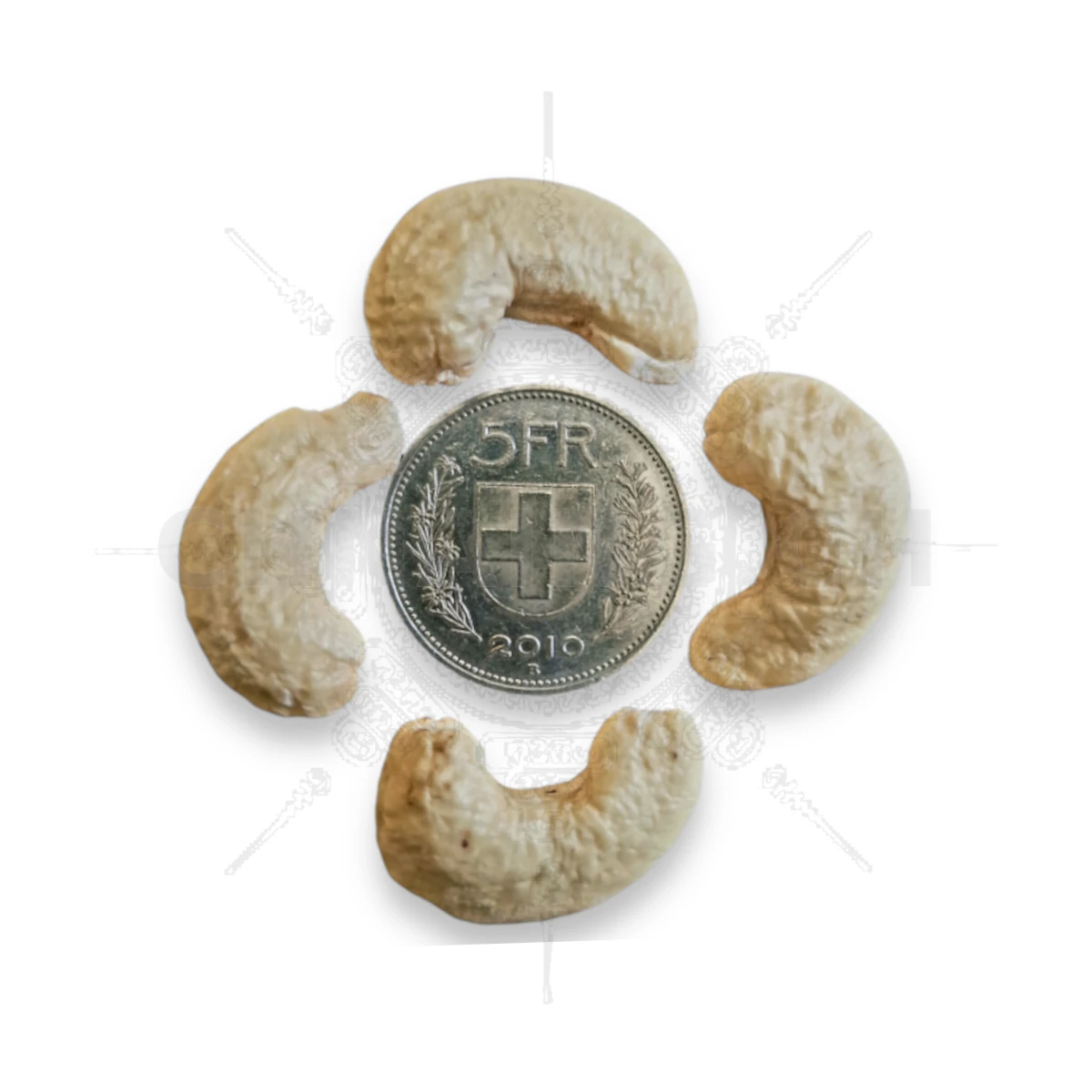 Taille Cajou vs 5Chf